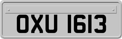 OXU1613
