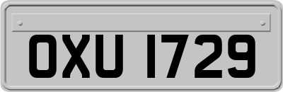 OXU1729
