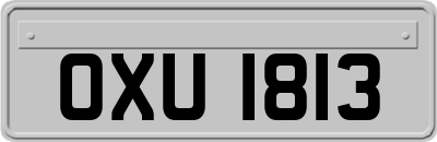 OXU1813