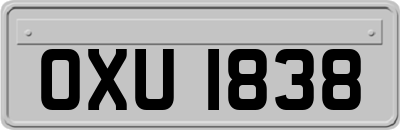 OXU1838
