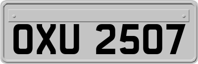 OXU2507