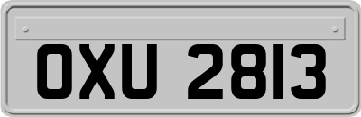 OXU2813