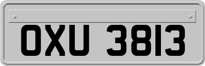 OXU3813