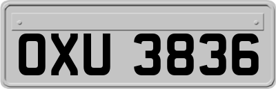 OXU3836