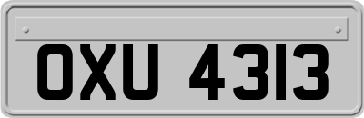 OXU4313