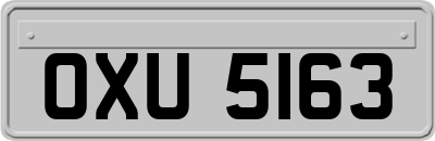 OXU5163