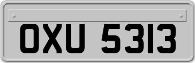 OXU5313
