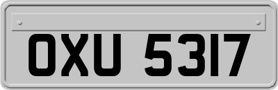 OXU5317