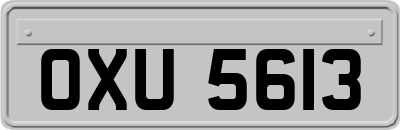 OXU5613