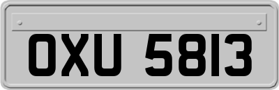 OXU5813
