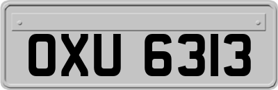 OXU6313