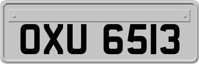 OXU6513