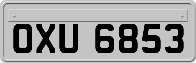 OXU6853