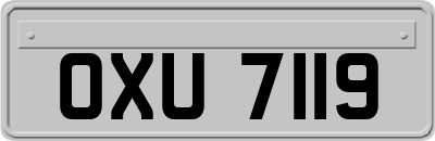 OXU7119