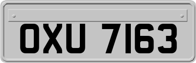 OXU7163