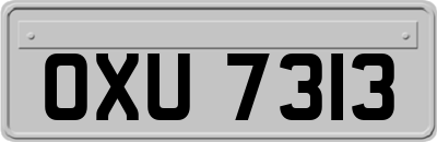 OXU7313