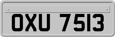 OXU7513