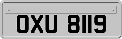 OXU8119