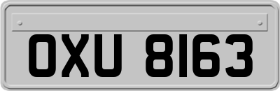 OXU8163