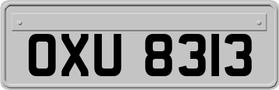 OXU8313