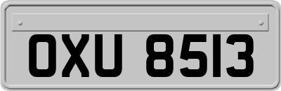 OXU8513