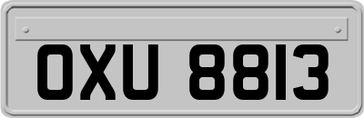 OXU8813