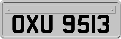 OXU9513