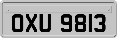 OXU9813