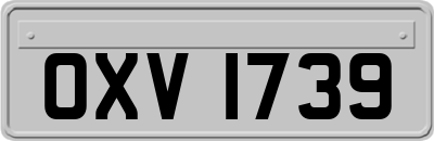 OXV1739