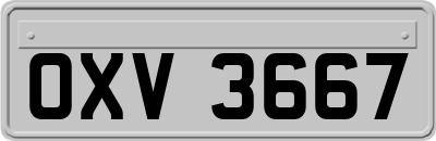 OXV3667