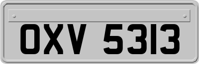 OXV5313
