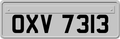OXV7313