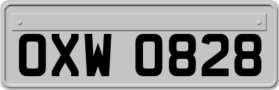 OXW0828
