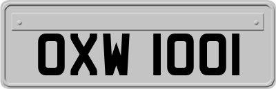OXW1001