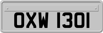 OXW1301