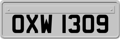 OXW1309