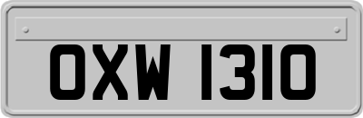 OXW1310