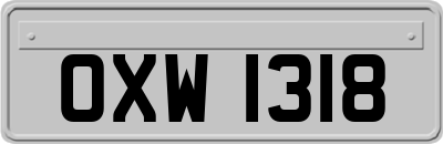 OXW1318