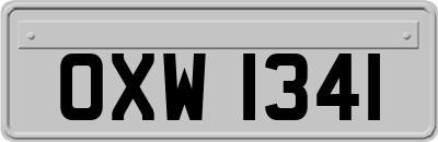 OXW1341