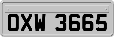 OXW3665