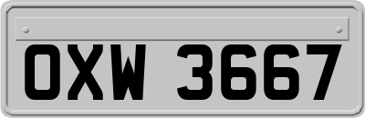 OXW3667