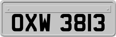 OXW3813