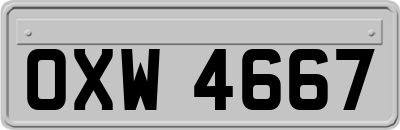 OXW4667