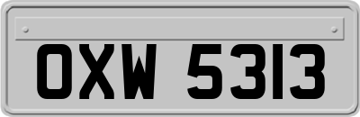 OXW5313