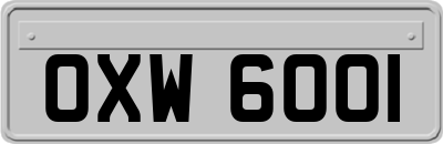 OXW6001