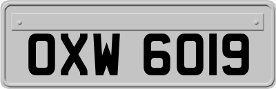 OXW6019