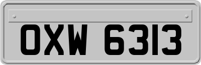 OXW6313
