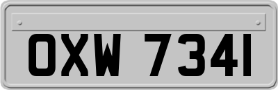 OXW7341