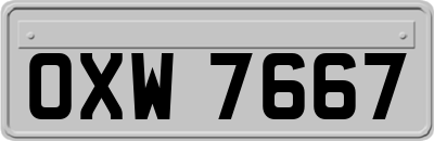OXW7667