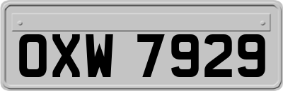 OXW7929